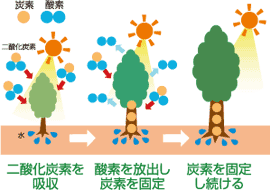 地球温暖化