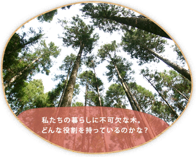 木材の良さや利用することの意義