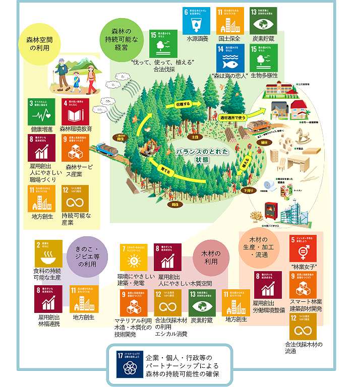 我が国の森林の循環利用とSDGsとの関係